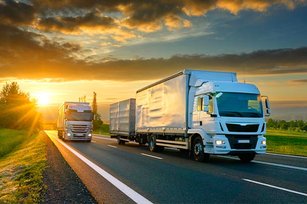 Evden eve nakliyat, İstanbul’da en çok aranan taşımacılık hizmetleri arasında yer alır. İstanbul evden eve nakliyat, profesyonel nakliyat, nakliyat firmaları, ev taşıma, eşya taşıma, uygun fiyatlı nakliyat ve sigortalı taşımacılık hizmetleri ile güvenli ve hızlı taşınma çözümleri sunulur.